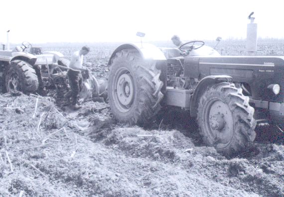 bild_001.jpg (large)